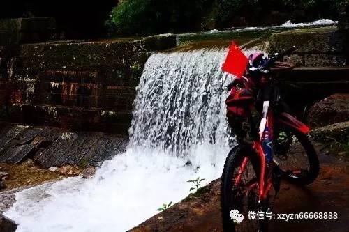 蛇吃金钥匙