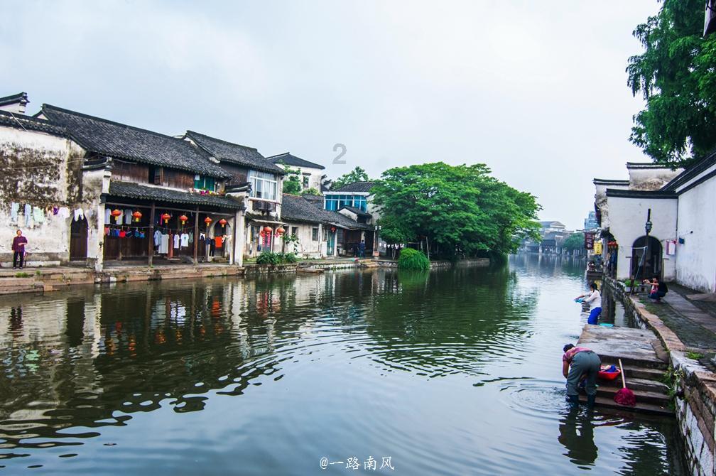 可爱的小孔雀救援