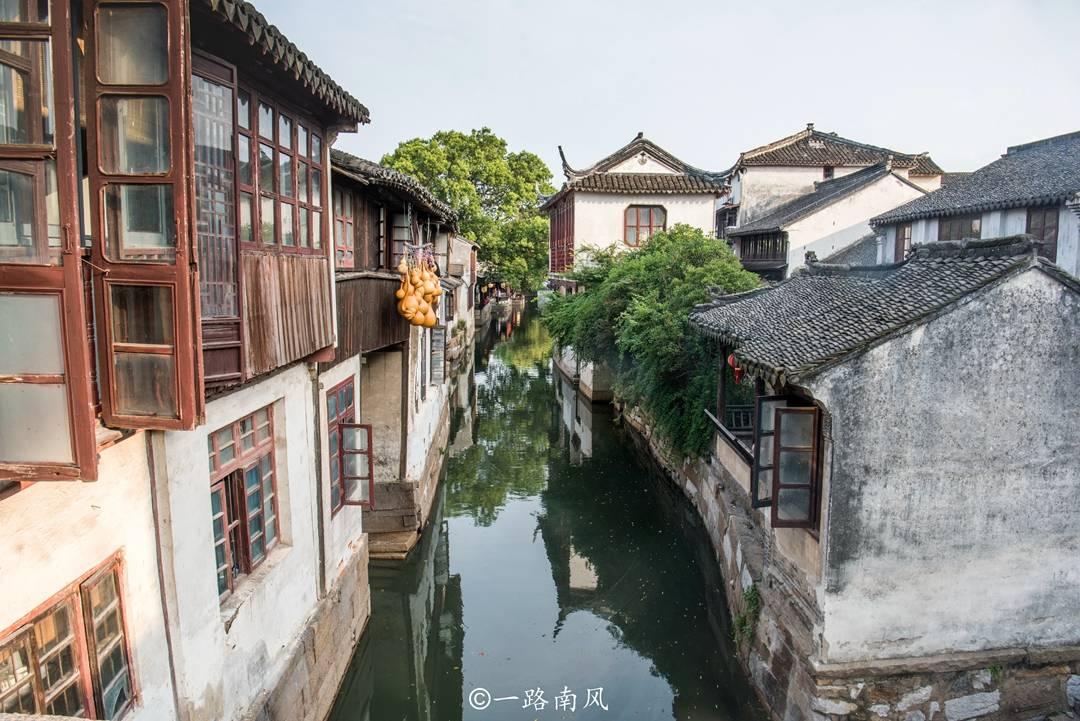 逃离奇异森林